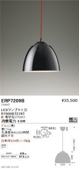 ERP7209B