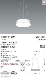 ERP7317W