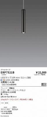 ERP7521B