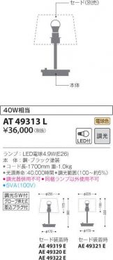 AT49313L
