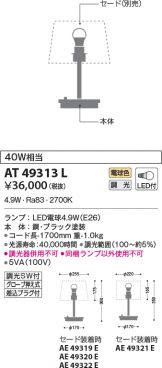AT49313L