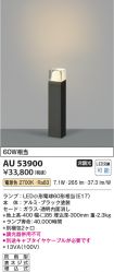 AU53900