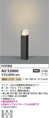 AU53900