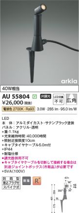 AU55804