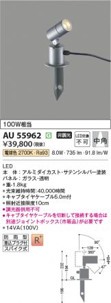 AU55962
