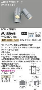 AU55968