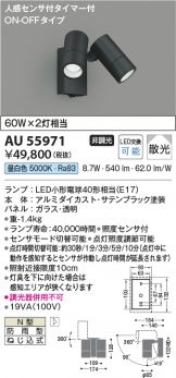 AU55971