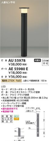 AU55978