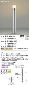 AU55979