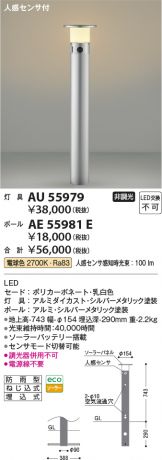 AU55979