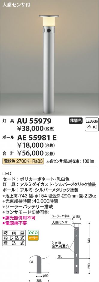 AU55979