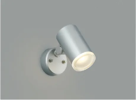 AU38274L