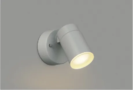 AU50450
