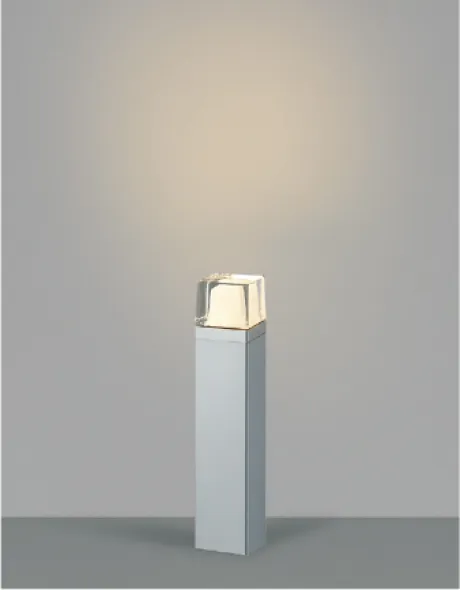 AU53901