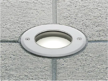 AU54196