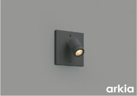 AU54563
