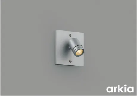 AU54564