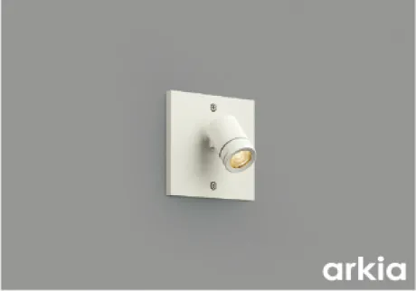 AU54565