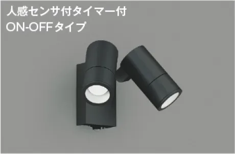 AU55971
