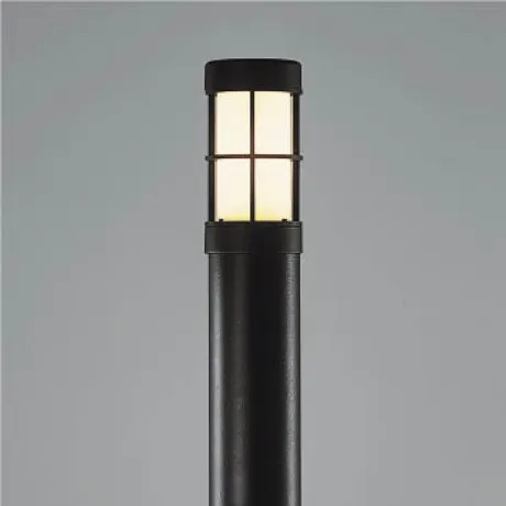 AU38616L