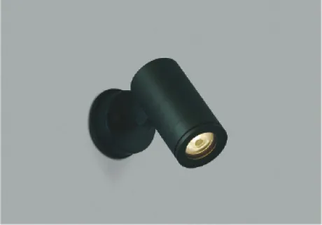 AU43661L