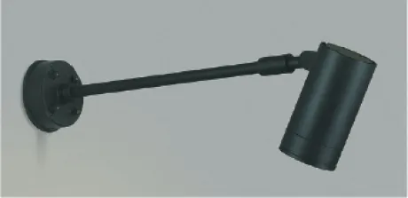 AU43666L