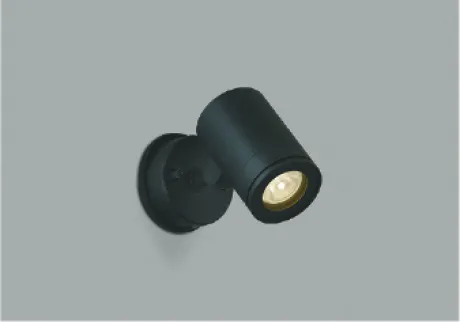 AU43674L