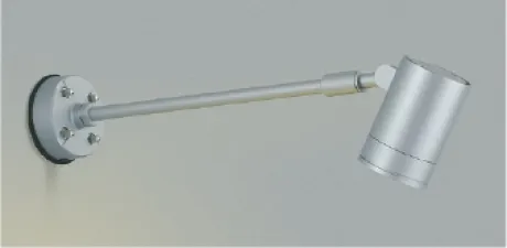 AU43676L
