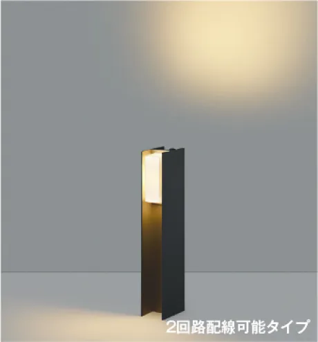 AU55779