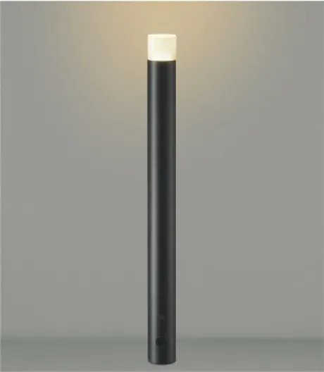 AU55790