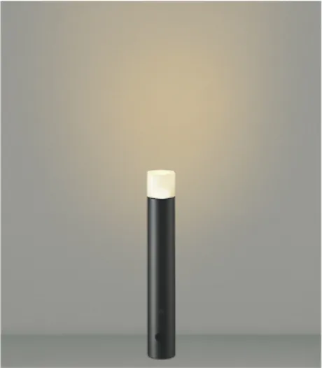 AU55791