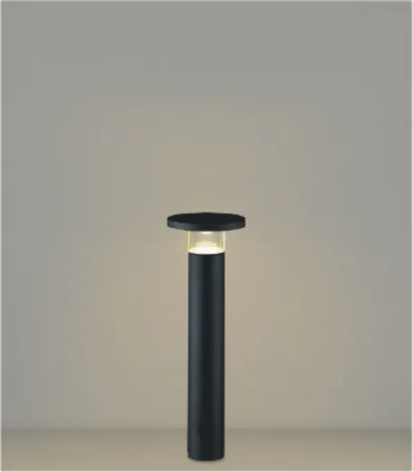 AU55795