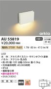 AU55819