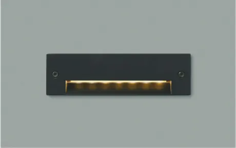 AU46981L