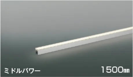 AL55621