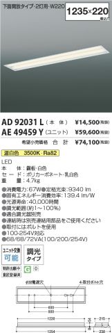 AD92031L-AE49459Y-2