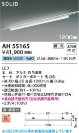 AH55165