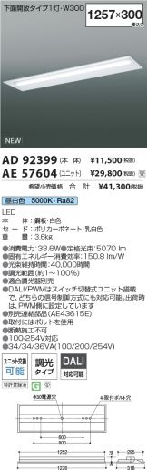 AD92399-AE57604