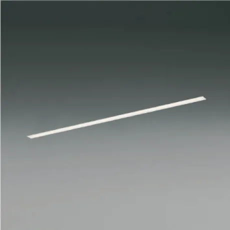 XD55361