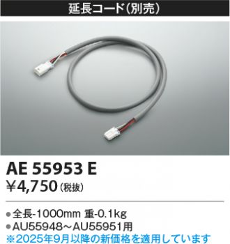 AE55953E