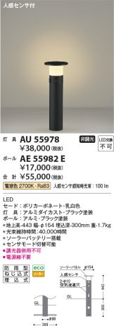 AE55982E