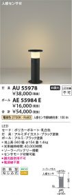 AE55984E