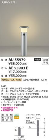 AE55983E