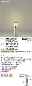 AE55985E