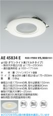 AE45834E