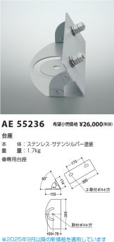 AE55236