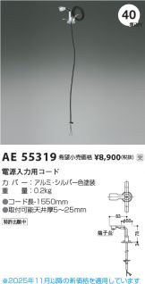 AE55319