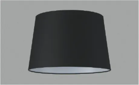 AE49316E