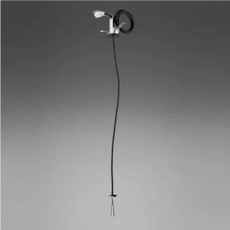 AE55318