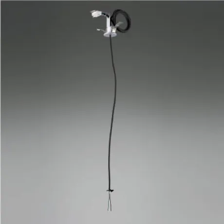 AE55319